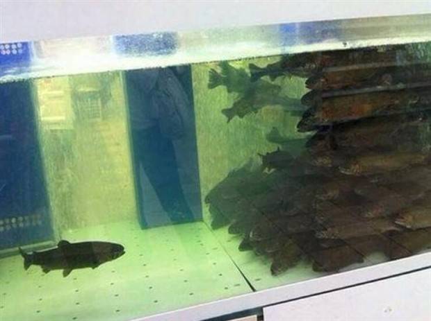 Klyker Picdump #1418 (53 photos)