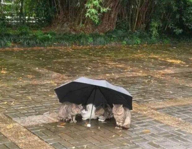 Klyker Picdump #1418 (53 photos)