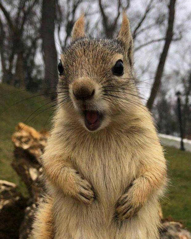 Klyker Picdump #1418 (53 photos)