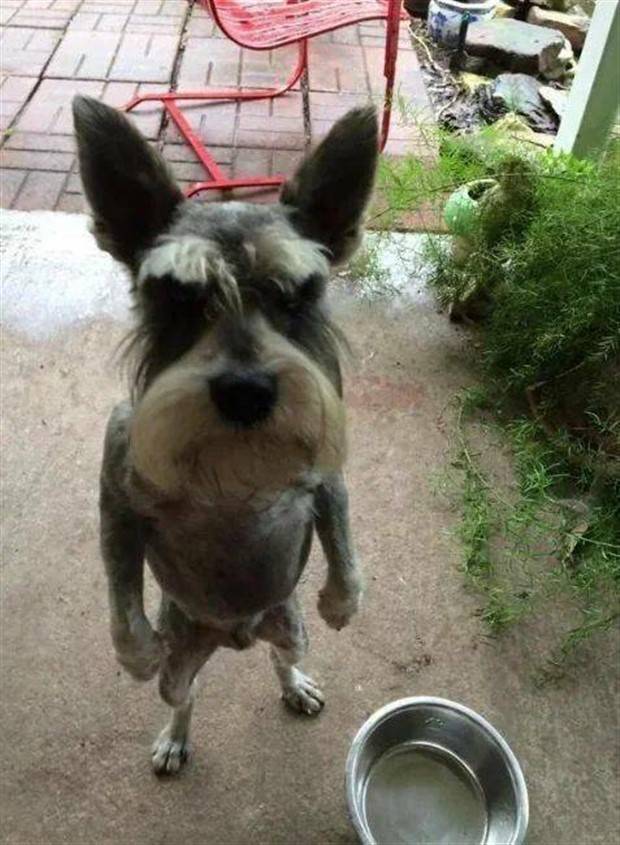 Klyker Picdump #1418 (53 photos)