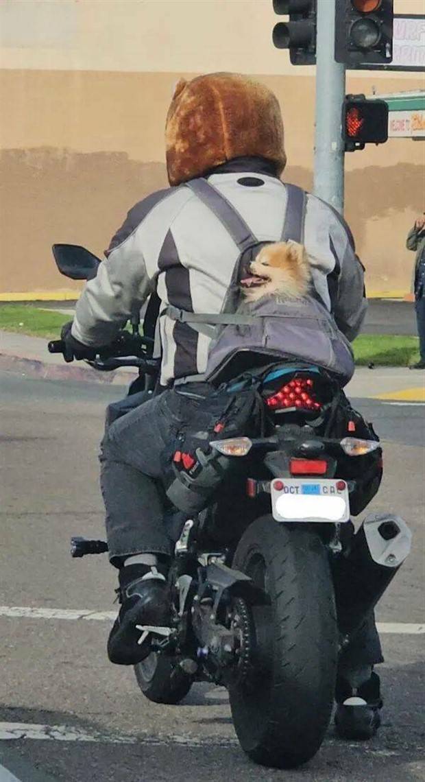 klyker picdump 3 18 2024 19 Klyker Picdump #1421 (51 photos)