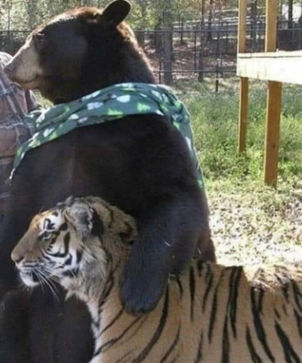 klyker picdump 3 18 2024 2 Klyker Picdump #1421 (51 photos)