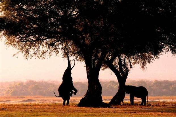 klyker picdump 3 18 2024 29 Klyker Picdump #1421 (51 photos)