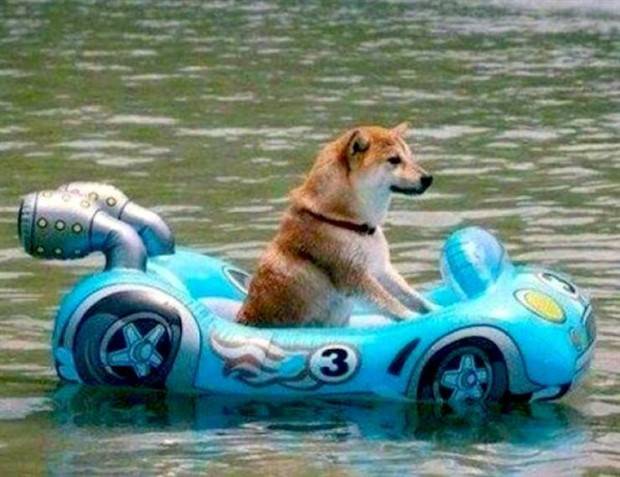 klyker picdump 3 18 2024 32 Klyker Picdump #1421 (51 photos)