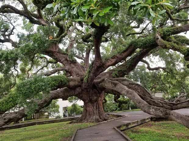 Klyker Picdump #1424 (54 photos)