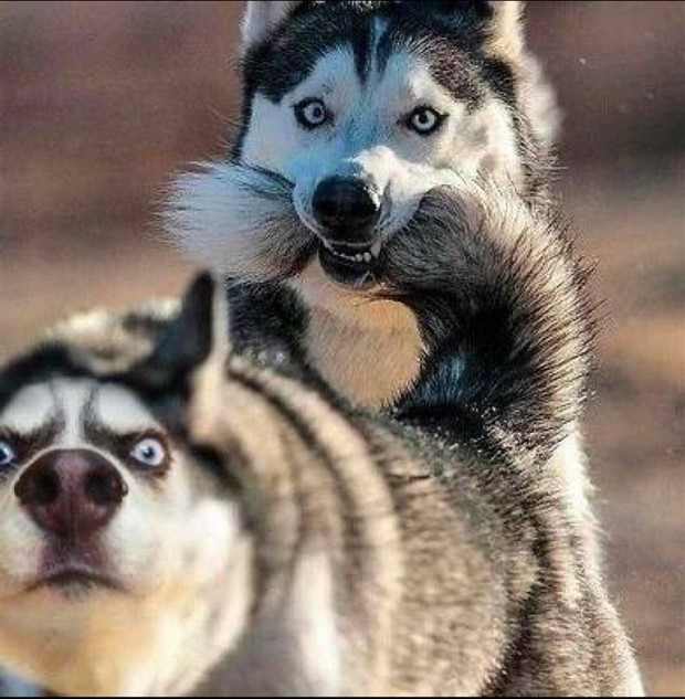 Klyker Picdump #1424 (54 photos)