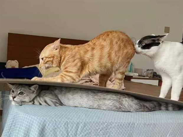 Klyker Picdump #1424 (54 photos)