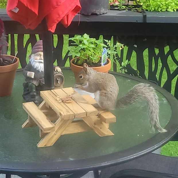 Klyker Picdump #1424 (54 photos)