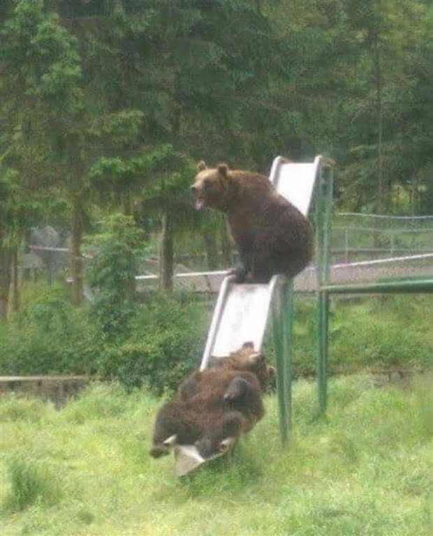 Klyker Picdump #1424 (54 photos)