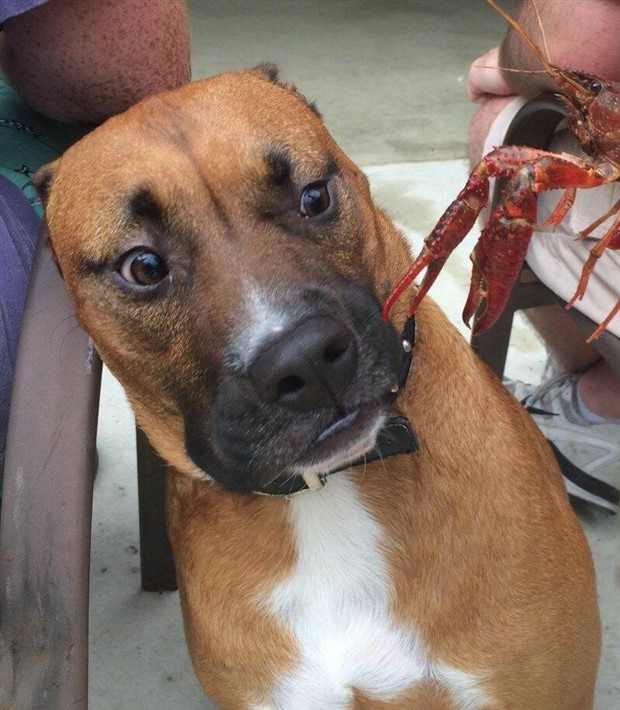 Klyker Picdump #1424 (54 photos)