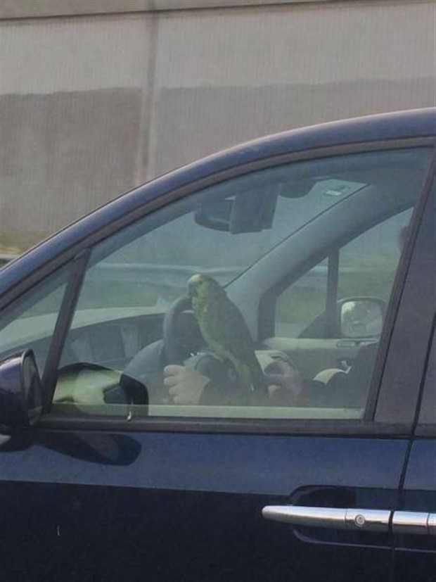 Klyker Picdump #1424 (54 photos)