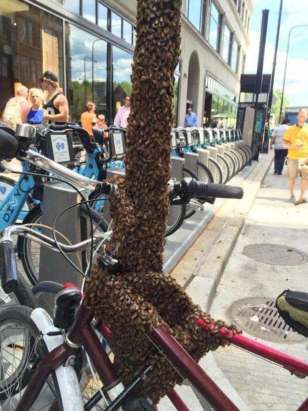 Klyker Picdump #1424 (54 photos)