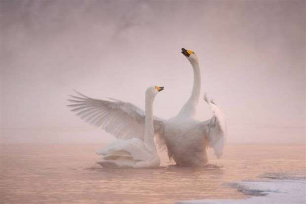 Klyker Picdump #1425 (55 photos)