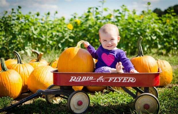 Klyker Picdump #1425 (55 photos)