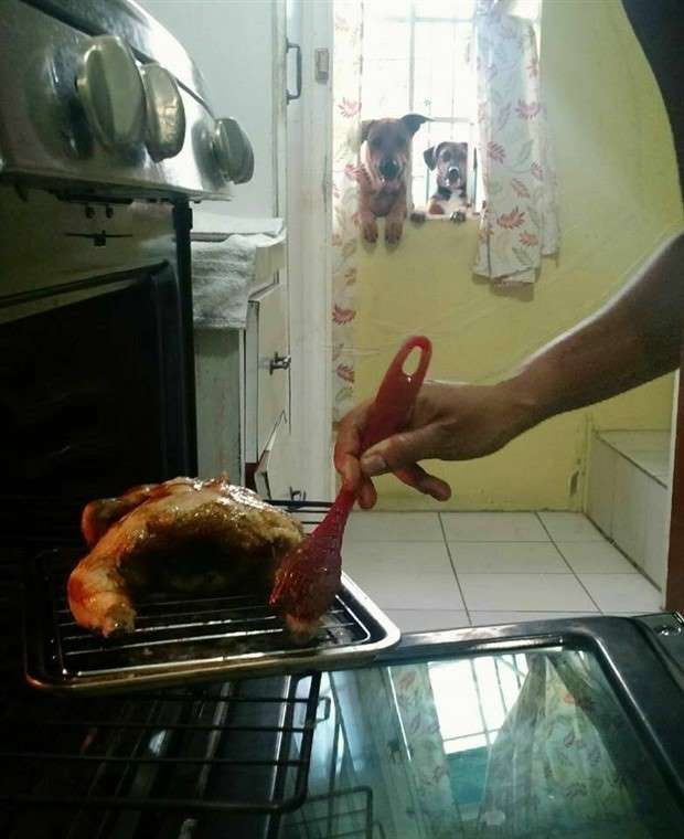 Klyker Picdump #1425 (55 photos)