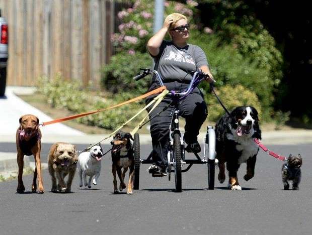 Klyker Picdump #1425 (55 photos)