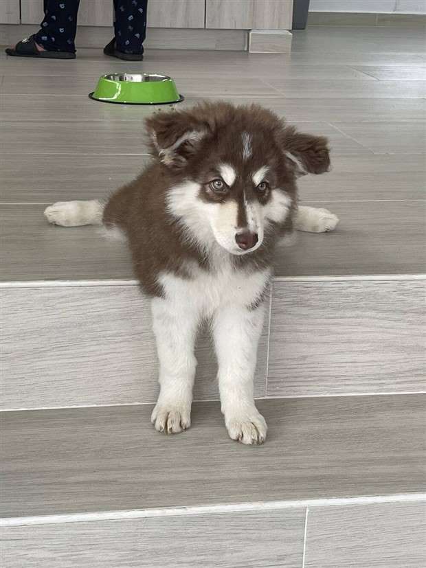 Klyker Picdump #1425 (55 photos)