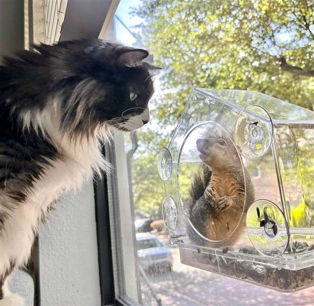 Klyker Picdump #1425 (55 photos)