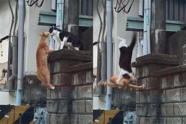 Klyker Picdump #1425 (55 photos)