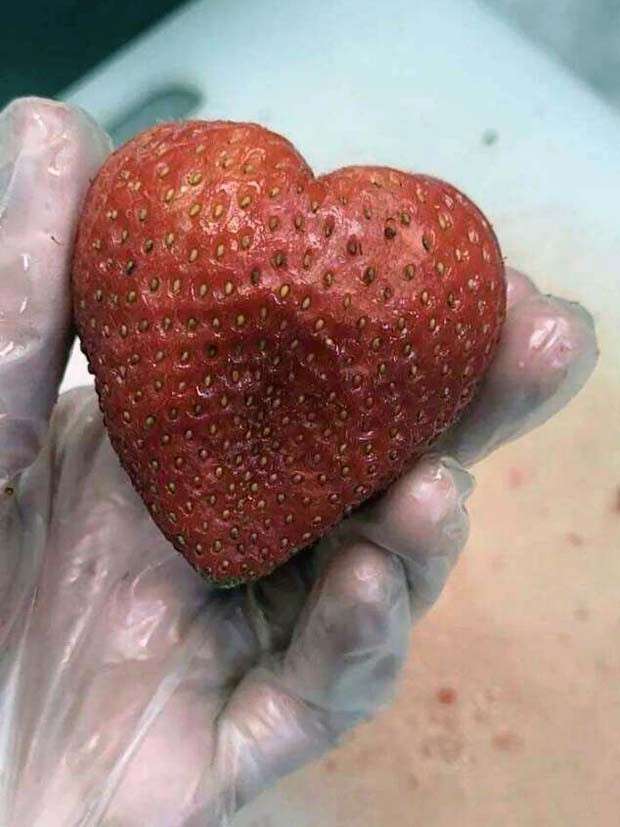 Klyker Picdump #1426 (51 photos)