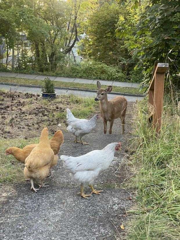 Klyker Picdump #1426 (51 photos)