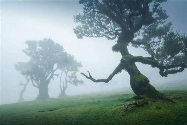 Klyker Picdump #1426 (51 photos)