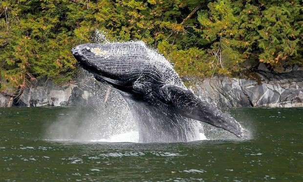 Klyker Picdump #1426 (51 photos)