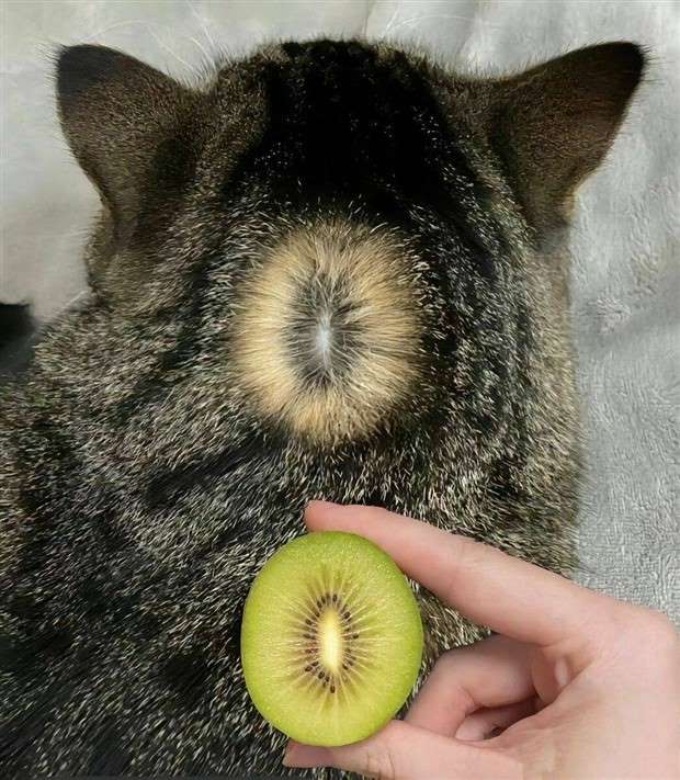 Klyker Picdump #1426 (51 photos)