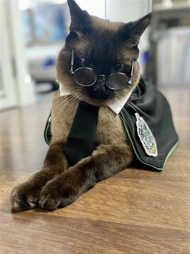 Klyker Picdump #1426 (51 photos)