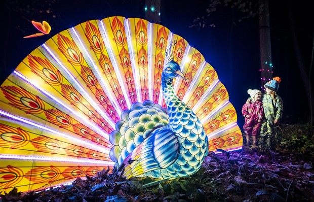 Klyker Picdump #1427 (52 photos)