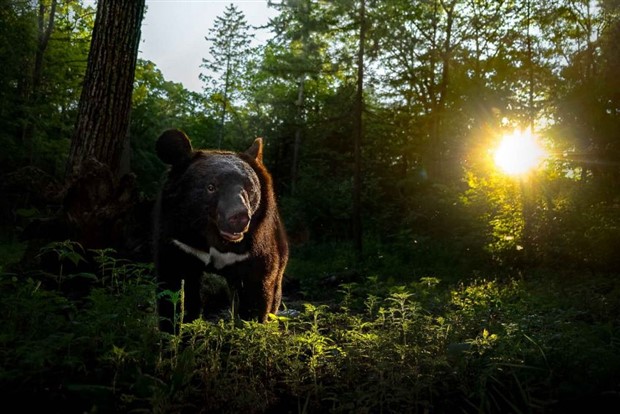 Klyker Picdump #1427 (52 photos)