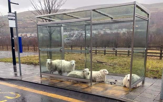 Klyker Picdump #1427 (52 photos)