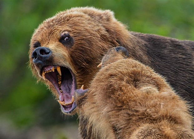 Klyker Picdump #1427 (52 photos)