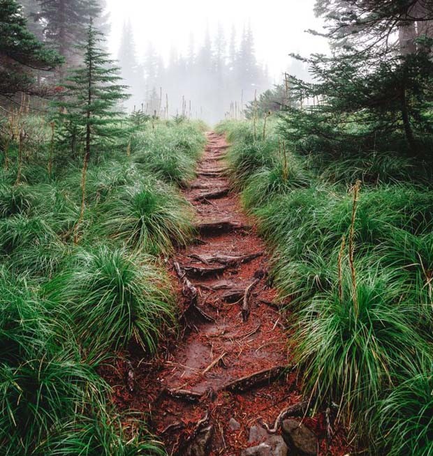 Klyker Picdump #1427 (52 photos)