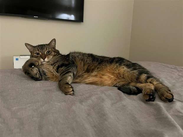 Klyker Picdump #1430 (55 photos)