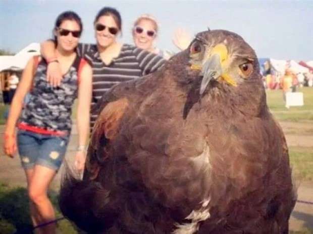 Klyker Picdump #1430 (55 photos)