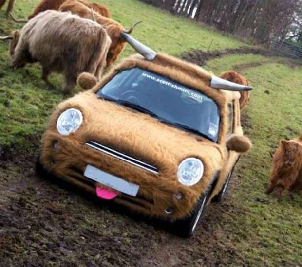 Klyker Picdump #1430 (55 photos)