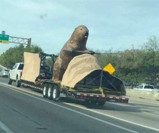 Klyker Picdump #1430 (55 photos)