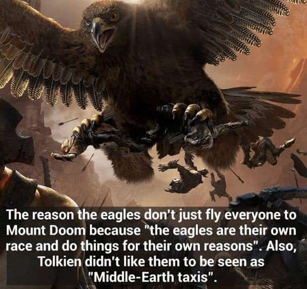 lotr facts 21 Unlock Little Known LOTR Facts (29 photos)