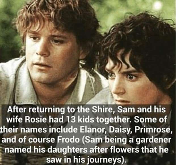 lotr facts 22 Unlock Little Known LOTR Facts (29 photos)