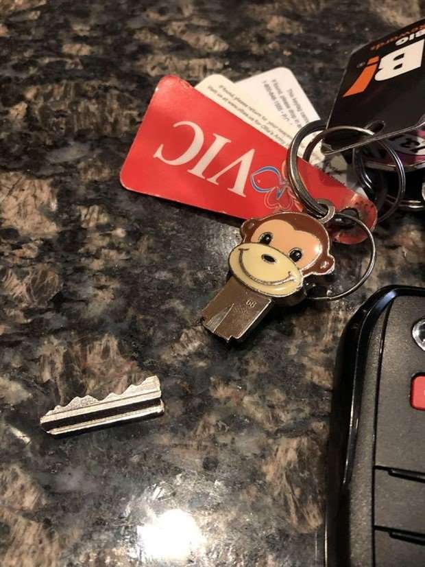 Shit Happens Regularly, Get Used To It #269 (25 photos)