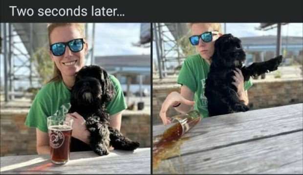 Shit Happens Regularly, Get Used To It #269 (25 photos)