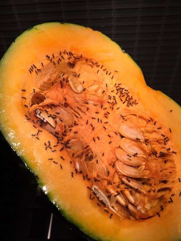 Shit Happens Regularly, Get Used To It #269 (25 photos)