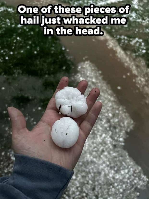 Shit Happens Regularly, Get Used To It #269 (25 photos)