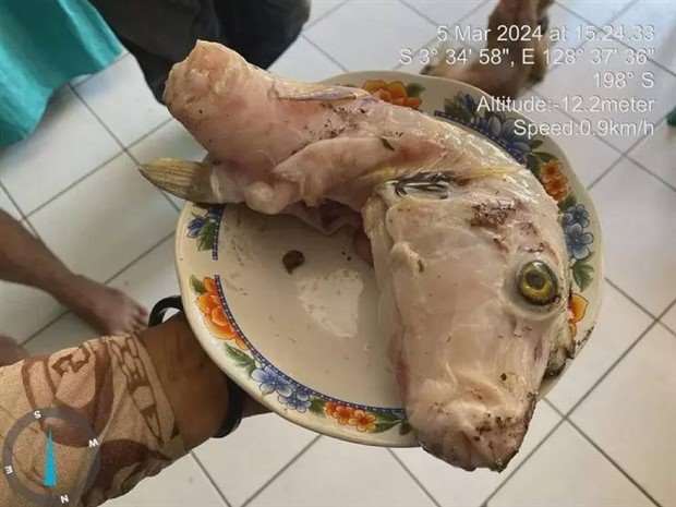 WTF Is Going On Here?! #11 (30 photos)