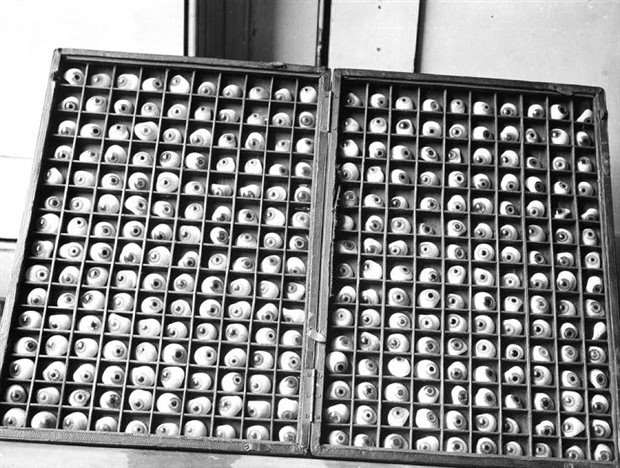 WTF Is Going On Here?! #11 (30 photos)