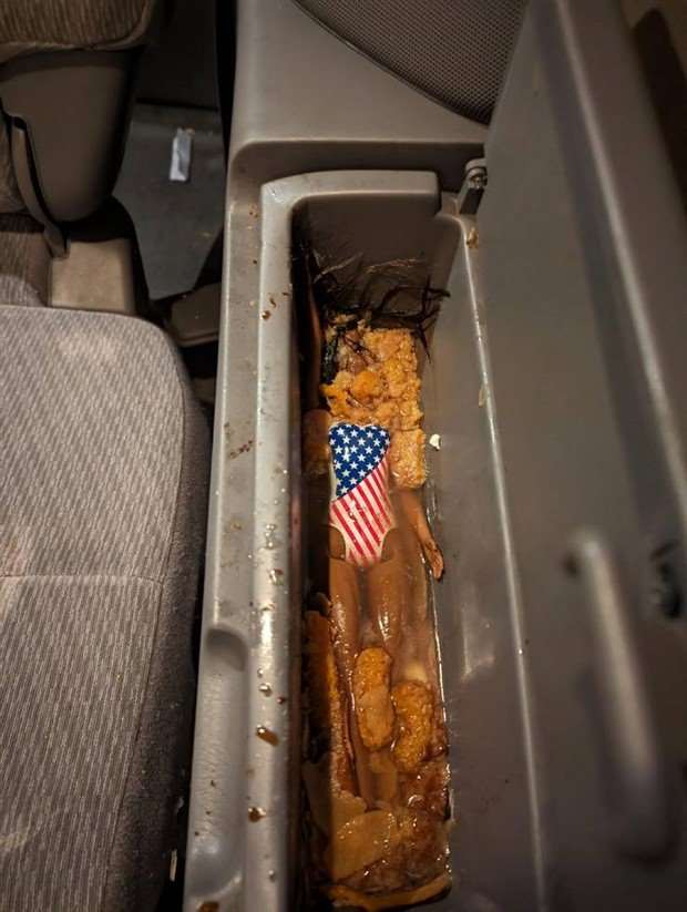 WTF Is Going On Here?! #11 (30 photos)