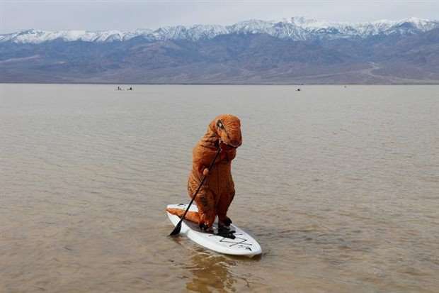 WTF Is Going On Here?! #11 (30 photos)