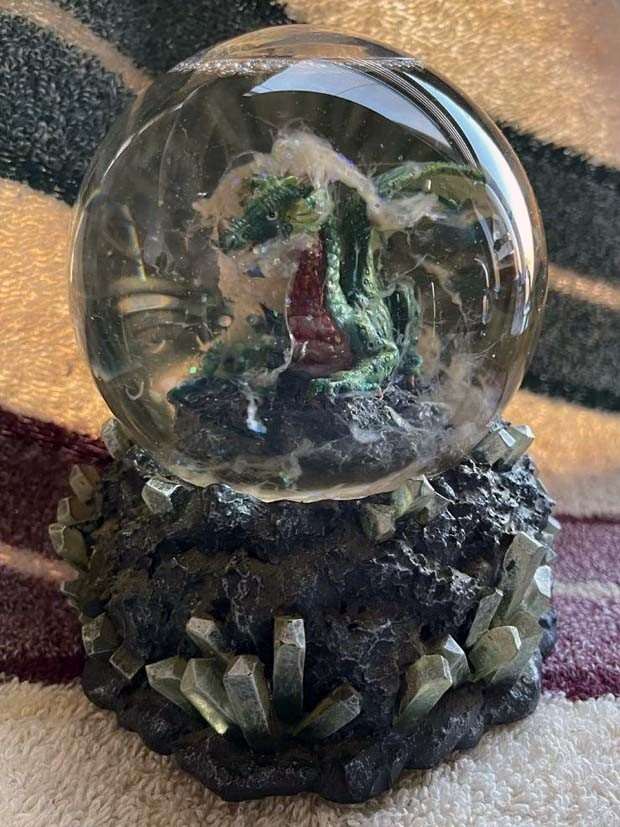 WTF Is Going On Here?! #11 (30 photos)