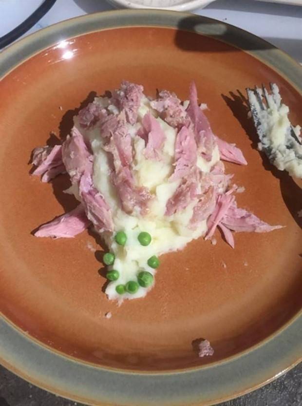 strange plates 20 Repulsive Plates That Defy Taste (29 photos)